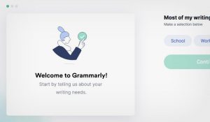 is grammarly really free for when you sign up